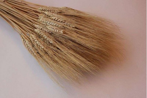 Сухоцвет Пшеница натуральная, шт