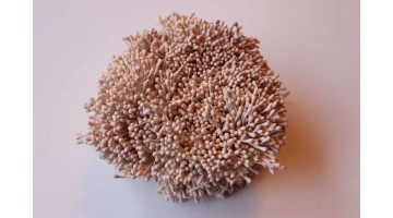 Тычинки матовые нежно-розовые 2мм, 400 нитей