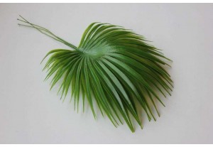 Искусственная зелень Ветка пальмы 25см, шт
