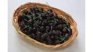 Шелковица чёрная 30мм, шт