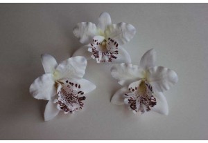 Головка Орхидеи белая D 7см, шт