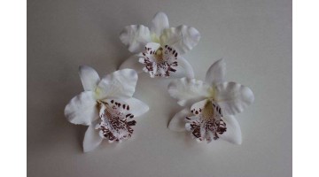 Головка Орхидеи белая D 7см, шт