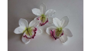 Головка Орхидеи крупная белая D 12см, шт