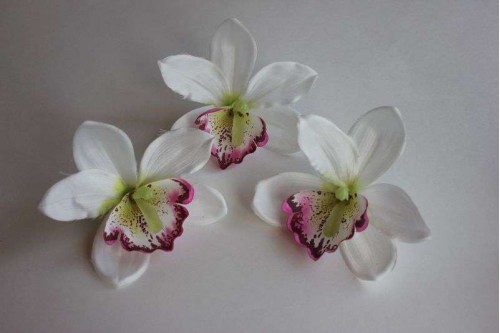 Головка Орхидеи крупная белая D 12см, шт