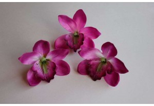 Головка Орхидеи крупная малиновая D 12см, шт