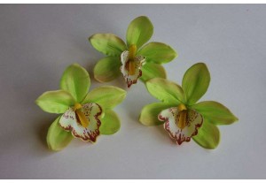 Головка Орхидеи крупная салатовая D 12см, шт