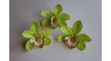 Головка Орхидеи крупная салатовая D 12см, шт