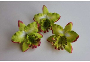 Головка Орхидеи салатовая D 7см, шт