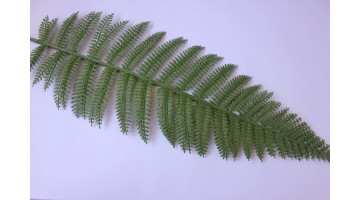 Искусственная зелень Лист папоротника 50см, шт