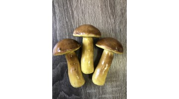 Гриб крупный 110мм, шт