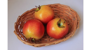 Гранат крупный 80мм, шт